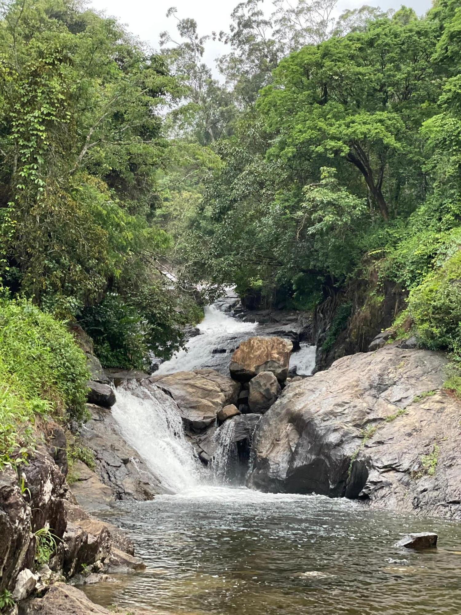 Wetlands Wayanad Pool Resort With Natural Waterfalls Padinjarathara Экстерьер фото