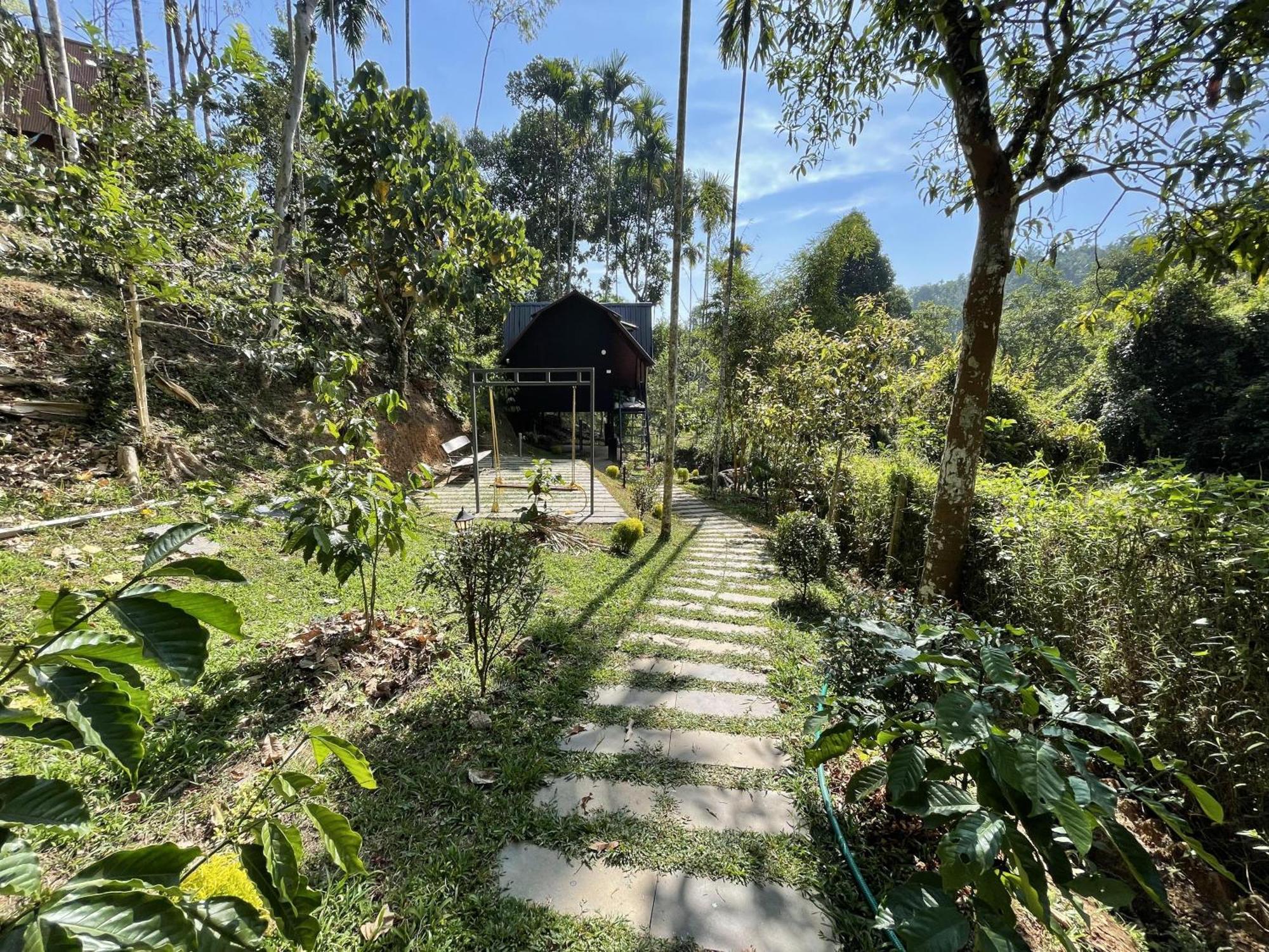 Wetlands Wayanad Pool Resort With Natural Waterfalls Padinjarathara Экстерьер фото