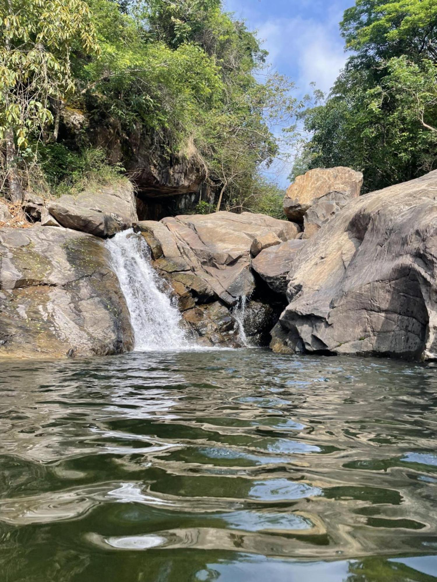 Wetlands Wayanad Pool Resort With Natural Waterfalls Padinjarathara Экстерьер фото